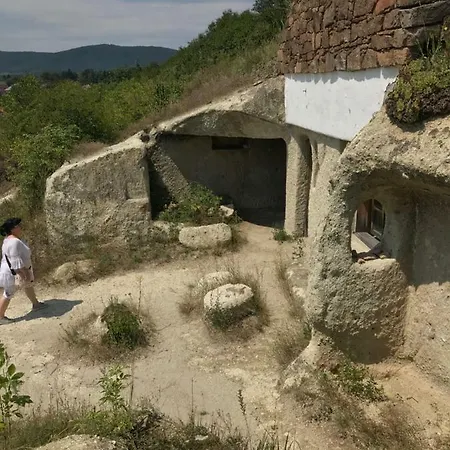Leo Bungalow דירה